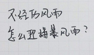 鸡汤句子 句句温情暖心!