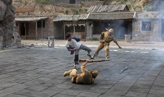 梦见杀人分尸什么意思 究竟代表什么呢