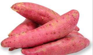 红薯不能和什么一起吃 需要注意这些食物