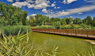 大兴在哪 关于大兴区的简介