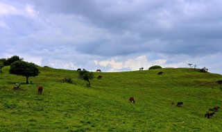 陇县旅游景点 很多人都不知道这个地方