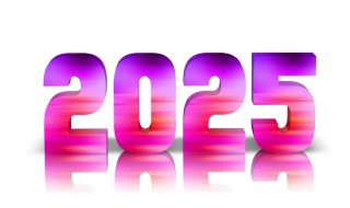 2025年是什么年 2025年属什么
