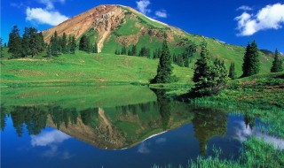 自然资源的所有制形式包括哪些 是怎么样的