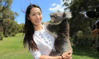 隋菲菲的丈夫 隋菲菲个人资料简介