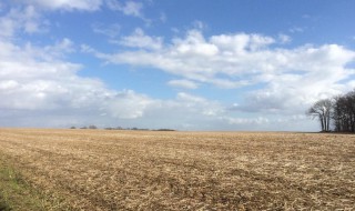 土地流拍意味着什么 土地流拍是什么意思