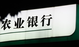 农行行长是什么级别 行长级别属于什么干部