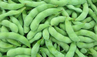 毛豆怎样冷冻保鲜 吃毛豆的几大好处