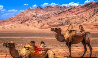 我国西部有哪些省 中国的西部分别指哪些省份？