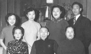 沈月英和柳录良的结局 杜月笙