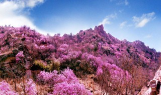 胶南旅游景点有哪些 著名景点你不容错过