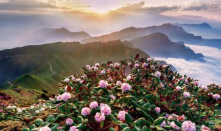 雅安旅游景点有哪些 四川雅安旅游攻略