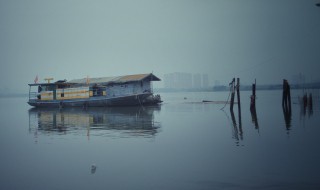 枫桥夜泊表达了诗人怎样的感情 有哪些解释