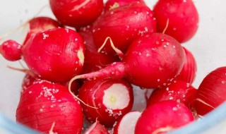 泡红萝卜怎样泡才脆 使腌萝卜更脆的四个方法
