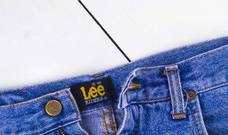 lee是什么牌子 中文名字叫什么