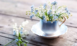 暖心句子简短 让人看了又看!