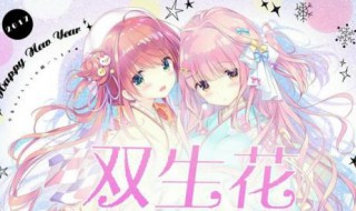 白胜肥仔坤什么电视剧 送给喜欢的你