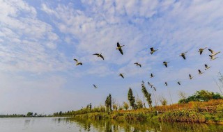 大雁岛著名景点有哪些 带你玩转大雁岛