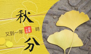 秋分禁忌是什么 秋分饮食禁忌有哪些