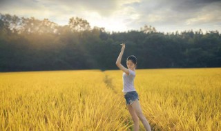 稻田里怎么拍照 稻田拍摄技巧