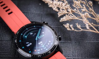 gt2和gt1的区别 华为watchGT2与GT1的差别