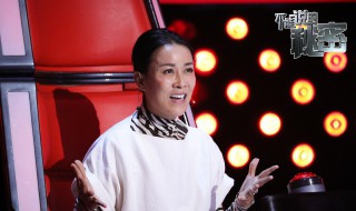 那英什么学历 那英是什么学历