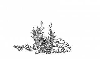 风景速写教程 风景速写的画法