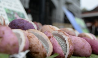 八月瓜泡酒怎么泡 八月瓜怎么泡酒