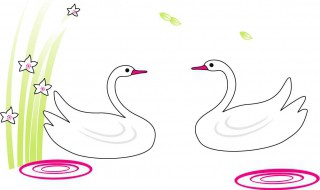 鹅怎么画好看又简单 快来学习一下
