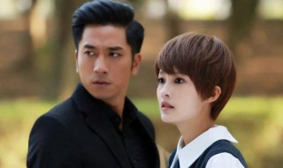 丁艾嘉是什么电视剧 剧情是什么