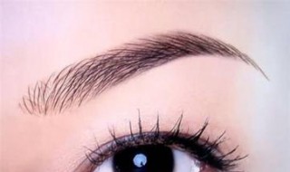 画眉技巧3点定位画法 怎样好看