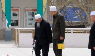 请教是什么意思 你知道吗