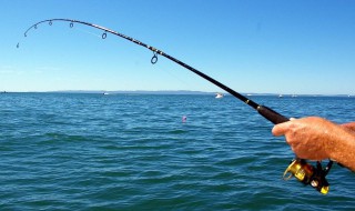 汉鼎鱼竿质量怎么样 汉鼎鱼竿好不好用