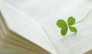 老师是什么排比句 老师是什么排比句句子