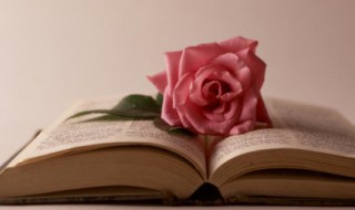 重庆旅行简短文艺句子 关于重庆很文艺的句子