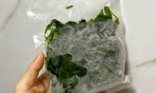 春菜储存方法 春菜储存方法推荐