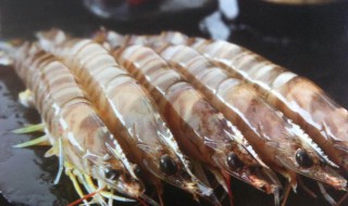 冷藏海虾的方法 可以采用什么方法保存海虾
