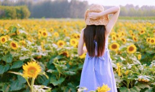 关于美食的文艺句子 美食很文艺的6句句子