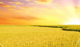 怎样描写秋天的景色 秋天的景色怎么写