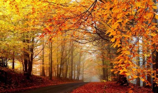 秋天有哪些美丽的景色 欣赏秋天的景色