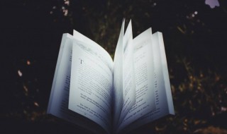 关于故乡的诗句 关于故乡的诗句有哪些