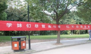 迎新标语 迎新标语有哪些