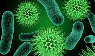 关于细菌的知识 下面是有关细菌的详细记载