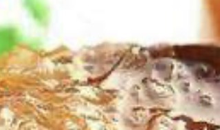 自制柚子蜂蜜茶 自制柚子蜂蜜茶做法