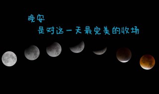 一句优美的句子 一句优美的句子有哪些