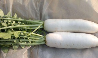 萝卜长期保鲜储存方法 保存萝卜有几种方法