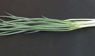 香葱的保鲜方法 保存香葱的技巧有什么