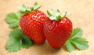 草莓的保鲜方法 草莓的保鲜方法介绍