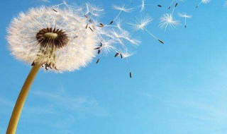 自由的句子心情说说 自由的句子心情说说列述