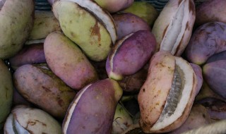八月瓜好吃吗 你吃过八月瓜吗