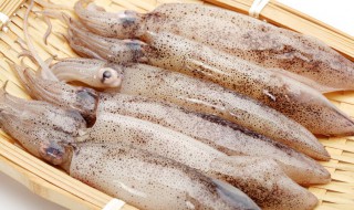 炒鱿鱼怎么炒好吃 炒鱿鱼家常做法